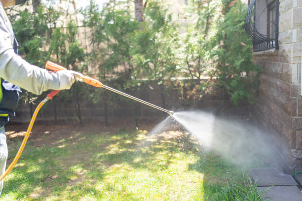 Best Termite Control Services  in Pendleton, IN