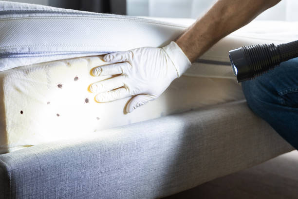 Best Best Pest Control Companies  in Pendleton, IN