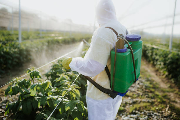 Best Pest Prevention Services  in Pendleton, IN